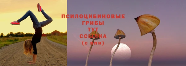 спиды Алексеевка