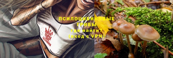 спиды Алексеевка