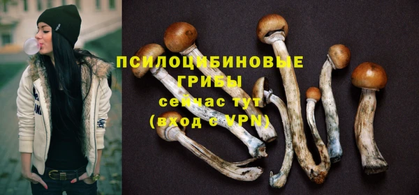 спиды Алексеевка