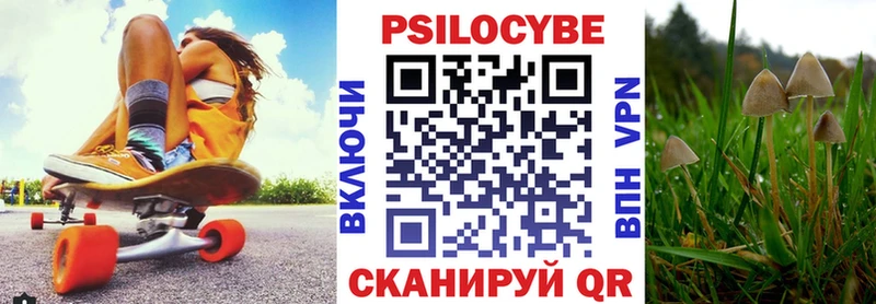 продажа наркотиков  ссылка на мегу онион  Галлюциногенные грибы Psilocybine cubensis  Буй 