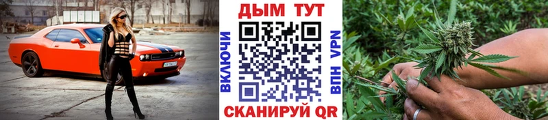 Шишки марихуана THC 21%  сколько стоит  Буй 